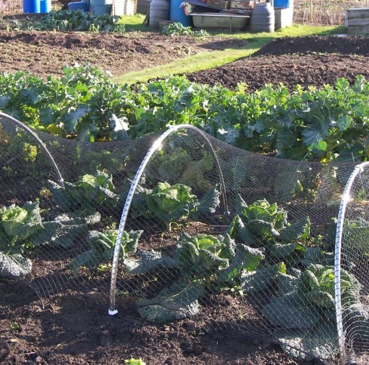 Small Round Aluminium Garden Hoop Tunnel Kits 4 Small Round Aluminium Garden Hoop Tunnel Kits - Image 2