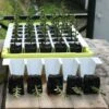 Bustaseed Propagation Kit 2 Bustaseed Propagation Kit -Outdoor Garden Care Shop bustaseed propagation netting