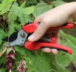 Compound Action Pruner DP332 -Outdoor Garden Care Shop cap001c