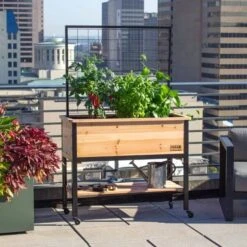 Cedar Elevated Planter With Trellis