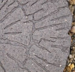 Cracked Log Stepping Stone -Outdoor Garden Care Shop cracked log stepping stone a 1