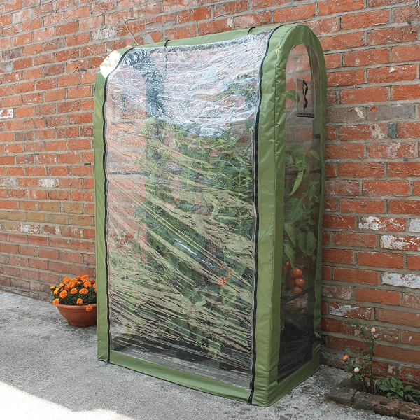 Tomato Crop Booster Frame Or Cover 4 Tomato Crop Booster Frame Or Cover - Image 2