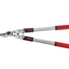 Expert Telescopic Bypass Lopper DP1022