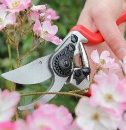 Expert Bypass Pruner DP1030A -Outdoor Garden Care Shop dp1030a 5