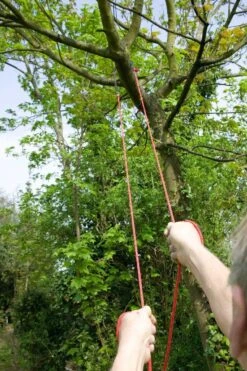 Darlac Pocket Chain Saw DP164 -Outdoor Garden Care Shop dp164f