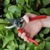 Professional Pruner Strong And Light Darlac DP30 -Outdoor Garden Care Shop dp30