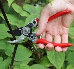 Ladies Professional Bypass Pruner -Outdoor Garden Care Shop dp390d