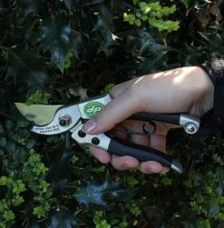 Compact Pruner DP40 -Outdoor Garden Care Shop dp403
