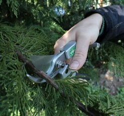 Compact Pruner DP40 -Outdoor Garden Care Shop dp404