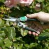Compact Snips For Gardeners And Flower Arrangers DP42 -Outdoor Garden Care Shop dp42