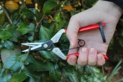 Darlac Vine Scissors DP926 -Outdoor Garden Care Shop dp926