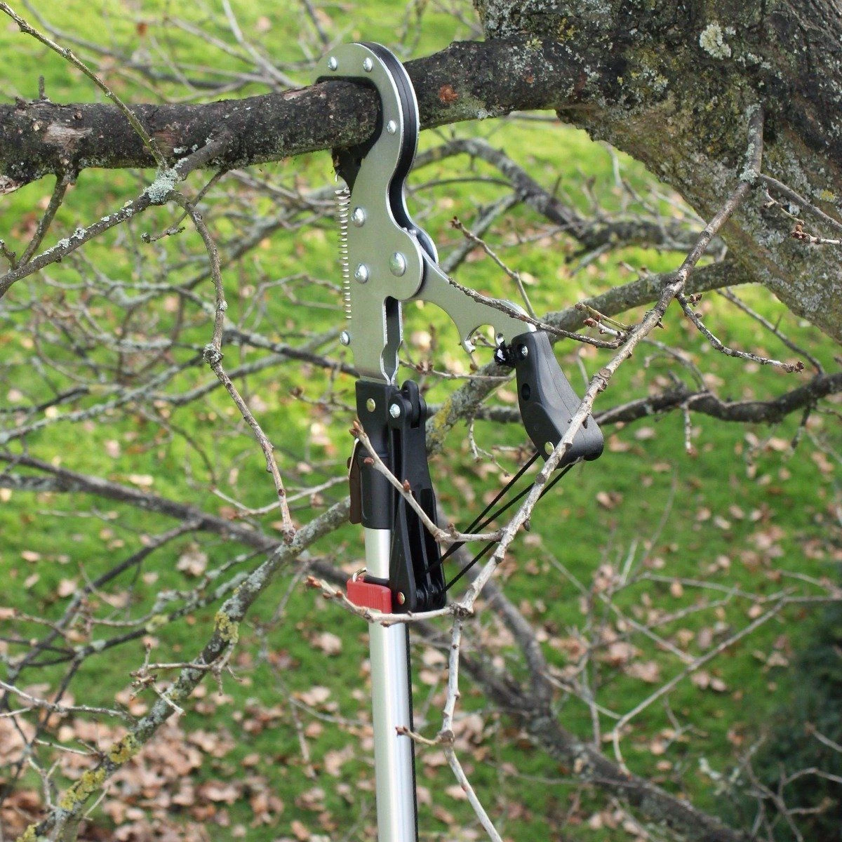 Darlac Expert Geared Anvil Tree Pruner DP1583 3 Darlac Expert Geared Anvil Tree Pruner DP1583