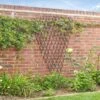 Extra Strong Expanding Fan Willow Trellis 1.8m X 0.9m -Outdoor Garden Care Shop extra strong expanding willow 2