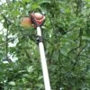Darlac Telescopic Fruit Grabber - DP116 -Outdoor Garden Care Shop fg001