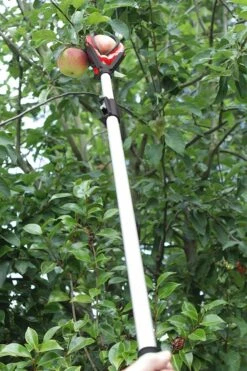 Darlac Telescopic Fruit Grabber - DP116 -Outdoor Garden Care Shop fruit grabber