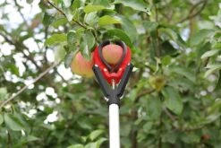 Darlac Telescopic Fruit Grabber - DP116 -Outdoor Garden Care Shop fruit grabber1
