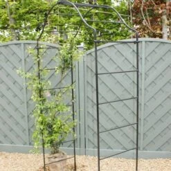 Garden Arch Steel Arcadia