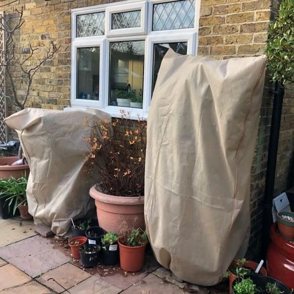 Fleece Bag Jackets For Winter Protection Of Plants 3 Fleece Bag Jackets For Winter Protection Of Plants