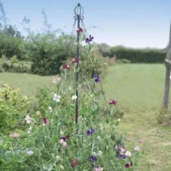 Maypole Plant Support For Flowers Or Beans