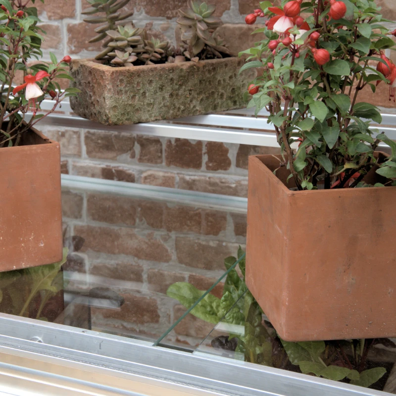 Mini Hampton Greenhouse 6 Mini Hampton Greenhouse - Image 4