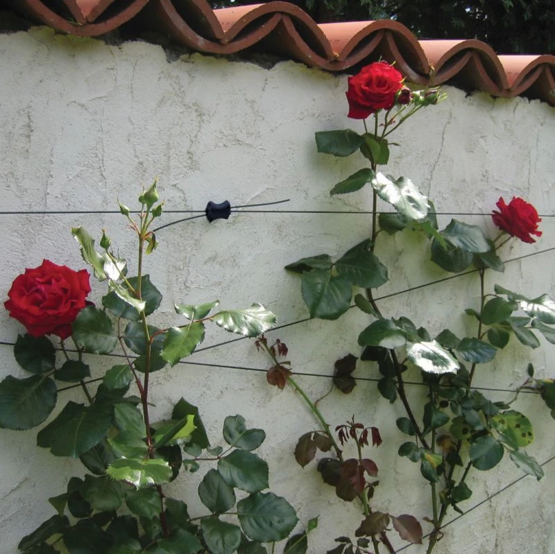 Gripple Plant Support System Similar To Trellis 5 Gripple Plant Support System Similar To Trellis - Image 3