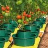 Tomato Growpots For Easy Feeding & Watering -Outdoor Garden Care Shop grow pots 1