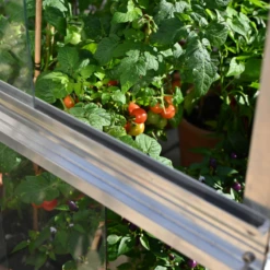 Double Tomato Greenhouse 13 Double Tomato Greenhouse -Outdoor Garden Care Shop growing tomatoes house