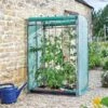 Tomato GroZone Max - Double Sided -Outdoor Garden Care Shop grozone2
