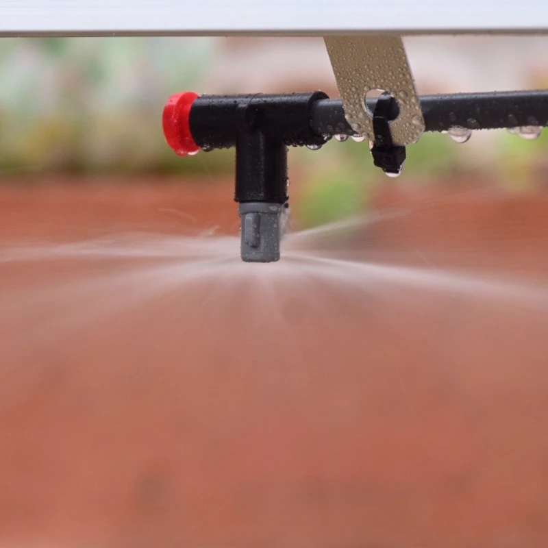 Mini Hampton Greenhouse 8 Mini Hampton Greenhouse - Image 6