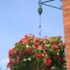 Hanging Basket Pulley Raise And Drop Baskets -Outdoor Garden Care Shop hbp