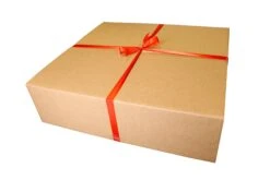 Igloo Hedgehog House And Wifi Camera Gift Set 5 Igloo Hedgehog House And Wifi Camera Gift Set -Outdoor Garden Care Shop hedgehog igloo house camera wrapped