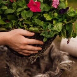 Hortiwool Garden Pads- 5 Pack 18 Hortiwool Garden Pads- 5 Pack -Outdoor Garden Care Shop hortiwool plant hanging basket