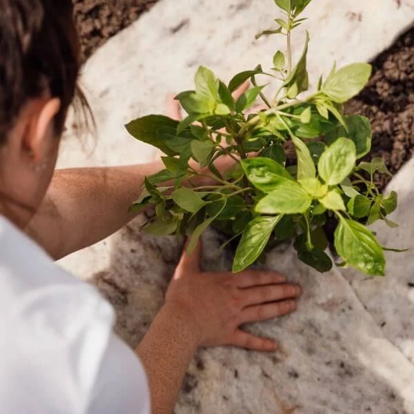 Hortiwool Garden Pads- 5 Pack 12 Hortiwool Garden Pads- 5 Pack - Image 10