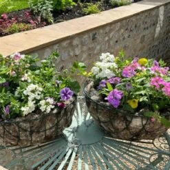 Wool Hanging Basket Liner Hortiwool (2 Pack) -Outdoor Garden Care Shop hortiwool wool garden