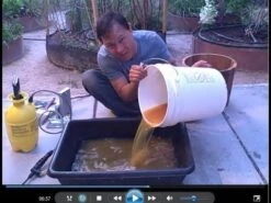 Eco Wood, Safe Natural Wood Treatment 4.5 Litres -Outdoor Garden Care Shop hqdefault 2