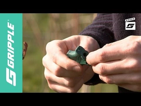 Gripple Plant Support System Similar To Trellis 6 Gripple Plant Support System Similar To Trellis - Image 4