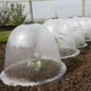 King Size Victorian Bell Cloche (Pack Of 2) -Outdoor Garden Care Shop ksbc 1