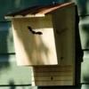 Large Bat Box 2 Large Bat Box -Outdoor Garden Care Shop large bat box