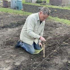 Long Handled Wooden Dibber -Outdoor Garden Care Shop long handled dibber in use