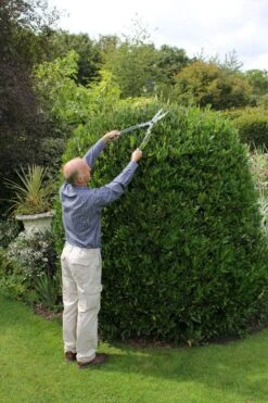 Lightweight Shears Long Handled Darlac DP400 -Outdoor Garden Care Shop lws1 4