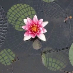 Netfloats Floating Pond Protection Net Panels