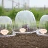 Victorian Bell Garden Cloche (Pack Of 3) Original 2 Victorian Bell Garden Cloche (Pack Of 3) Original -Outdoor Garden Care Shop osbc