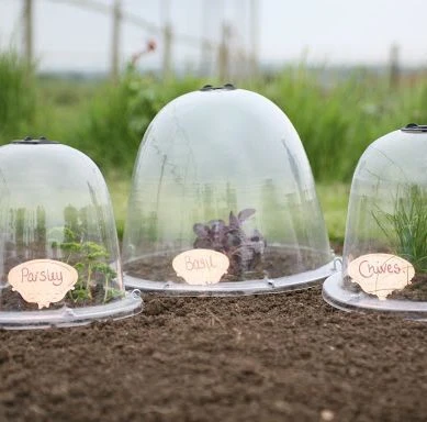 Victorian Bell Garden Cloche (Pack Of 3) Original 3 Victorian Bell Garden Cloche (Pack Of 3) Original