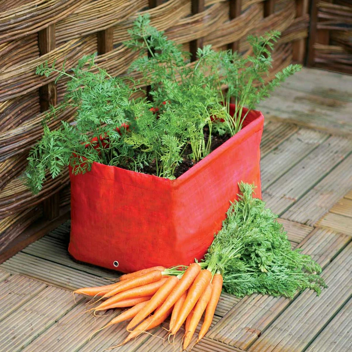 Carrot Patio Planter Pack Of 2 3 Carrot Patio Planter Pack Of 2