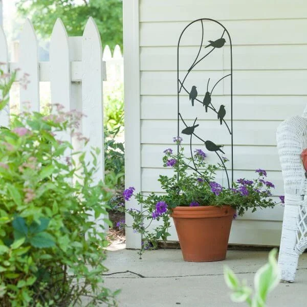 Pot Trellis - Perching Birds Black 3 Pot Trellis - Perching Birds Black
