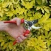 Left Handed Pruner Professional Darlac DP631 -Outdoor Garden Care Shop plhp