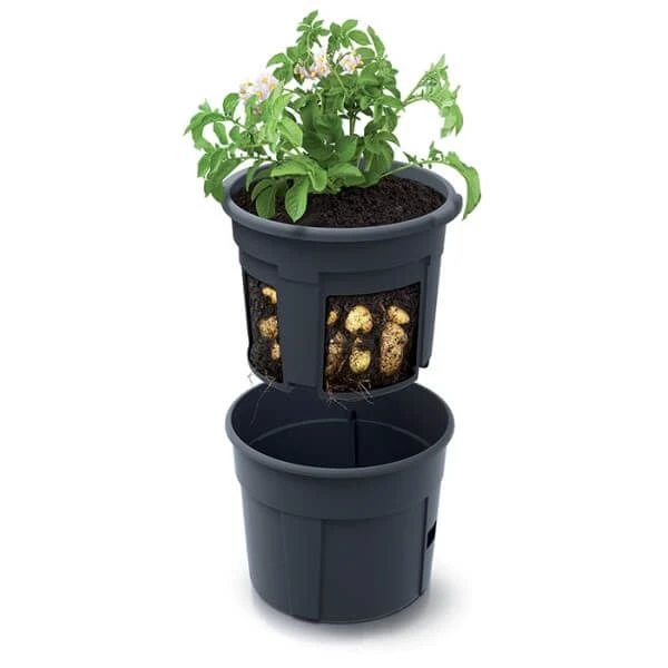 Potato Grow Pot 3 Potato Grow Pot