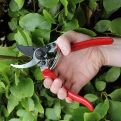 Professional Pruner Strong And Light Darlac DP30 -Outdoor Garden Care Shop professional garden pruner