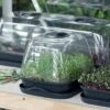Propagator And Lid -Outdoor Garden Care Shop propagator small