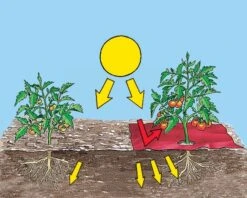 Red Strawberry/Tomato Mulch -Outdoor Garden Care Shop red mulch3